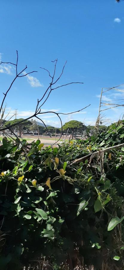 Les Iles D'Or Au Port De Hyeres Grand Studio Climatise ภายนอก รูปภาพ